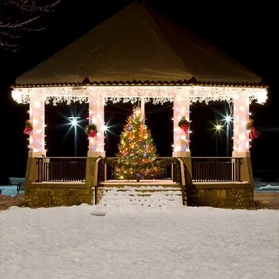 Примеры использования декоративной светотехники_015