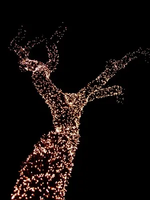 Примеры использования декоративной светотехники_080