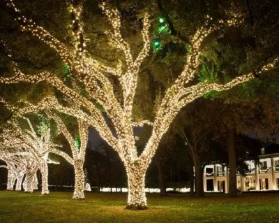 Примеры использования декоративной светотехники_079