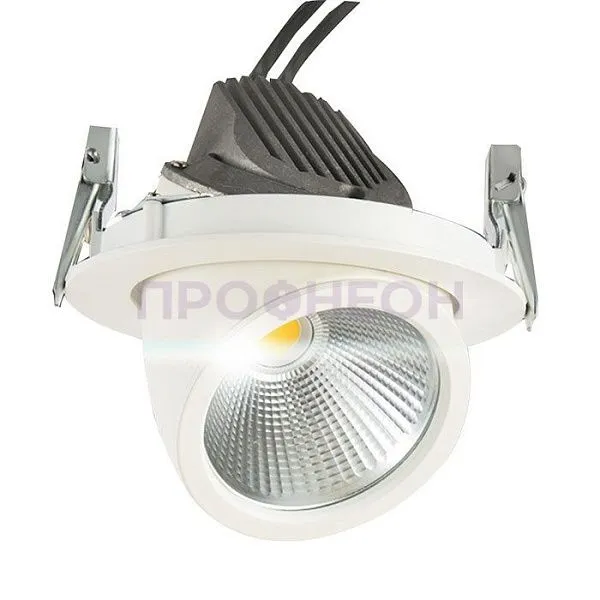 Крупный план поворотного механизма и светодиодной матрицы светильника Downlight 35 Вт