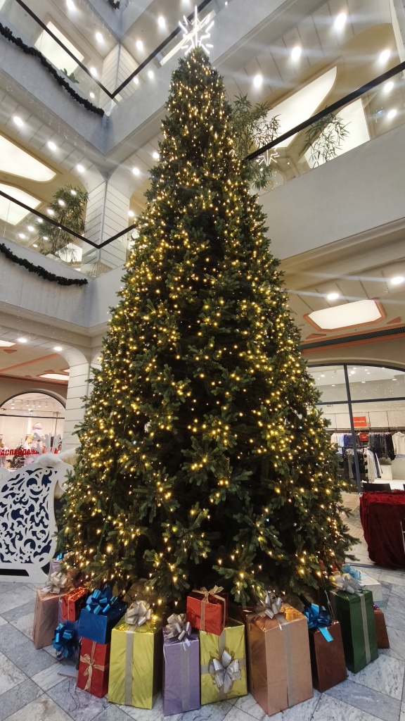 2025-12-24 12-59-59.JPG