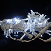Гирлянда-нить LED Стринг Лайт, 10м, КАУЧУК, IP65, белый холодный, 24В Гирлянда-нить LED Стринг Лайт, 10м, КАУЧУК, IP65, белый холодный, 24В